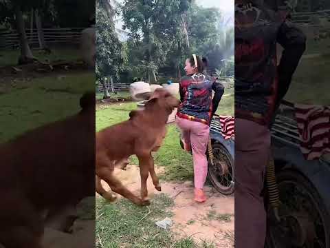 如果你不小心刷到我，请留下来翻翻我的作品吧，也许能治愈你烦躁的心情!#记录真实生活 #山里姑娘 #农村生活欢乐多