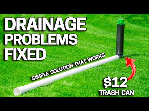 How to Get Rid of Standing Water Dirt Cheap & Save Your Home