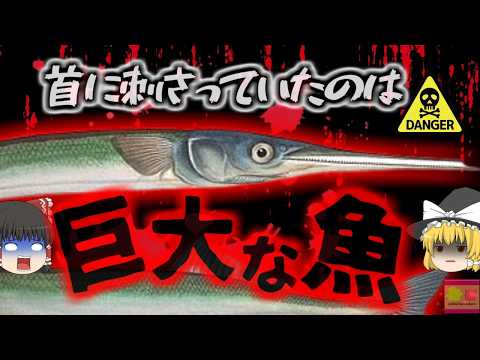 【2020年】釣りをしている最中、水面から現れた『何か』が首に刺さり貫通 漁師やダイバー 釣り人の命を奪っている「サメより恐ろしい魚類」の正体とは　ダツ刺傷事故【ゆっくり解説】