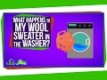 Understanding Wool Care and Biochemistry