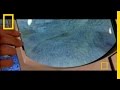 Dakota: The Dinosaur Mummy Discovery