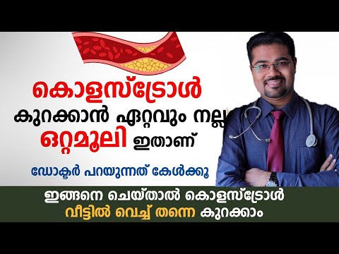എത്ര കൂടിയ കൊളസ്ട്രോളും നോർമൽ ആകും പിന്നെ കൂടുകയും ഇല്ല Cholesterol Malayalam / Dr Manoj Johnson