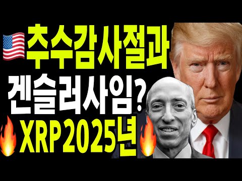 비트코인 도지코인 리플코인  🔥추수감사절과  게리겐슬러 XRP 향후?🔥