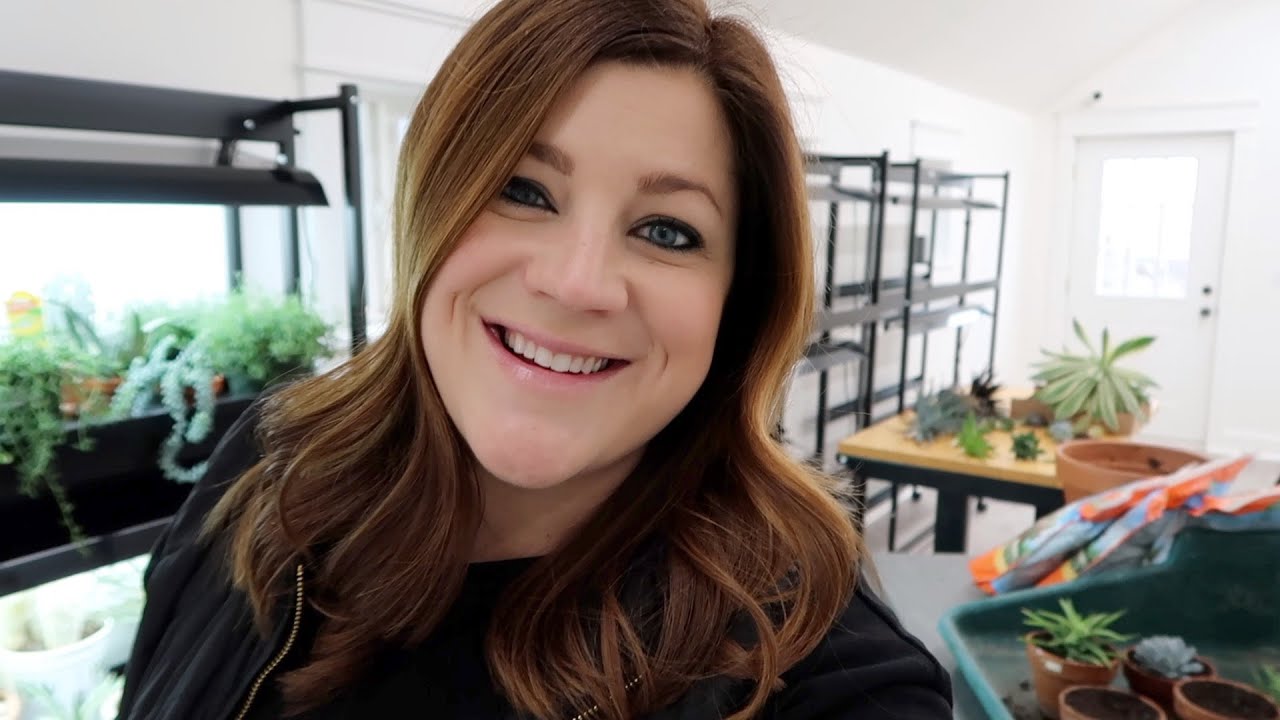 Potting Succulent Cuttings & Organizing the Studio/Barn!