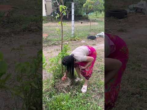 จากไข่เป็นลูกไก่ไวจัง #funny #comedy