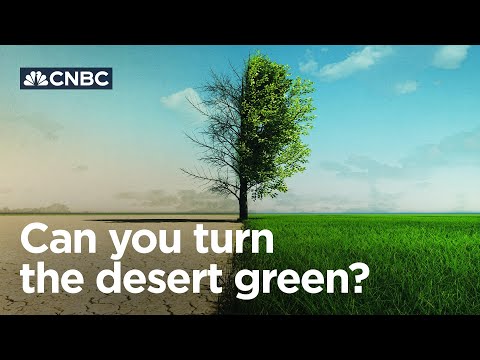 Can cloud seeding make the UAE&#39;s desert green?