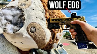 Cyelee Wolf EDG Closed Emitter Red Dot Range Review.