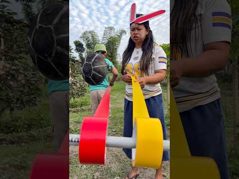 Kura kura VS kelinci
