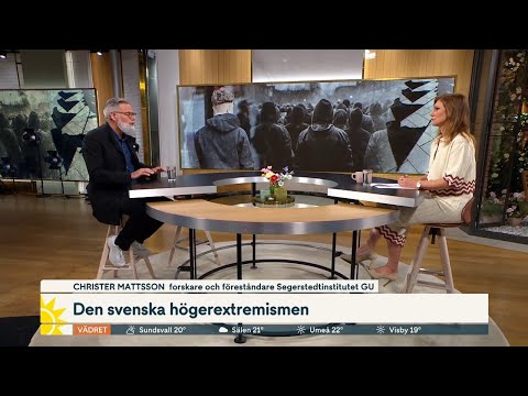 Högerextrema nätverk i Sverige – så ser de ut | Nyhetsmorgon | TV4 & TV4 Play