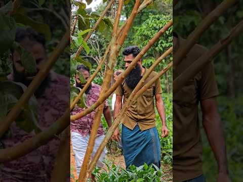 എന്ത് നല്ല മനുഷ്യാ നാണ് ലെ😂😂