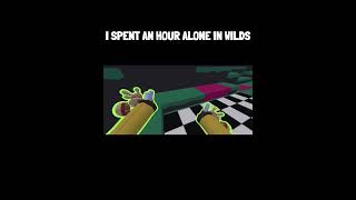 An hour in wilds be like