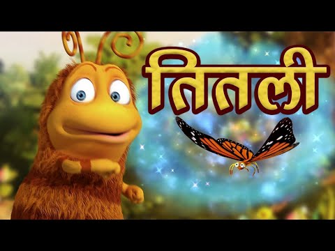 तितली | Butterfly | Informative Video About Dolphins |  Learning Videos For Kids