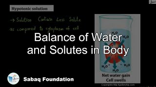 Balance of Water and Solutes in the Body