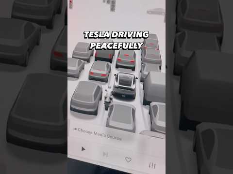 #PDArmy, would Tesla’s Full Self-Drive survive Indian roads? #PowerDrift #PDArmy #Tesla #TeslaIndia