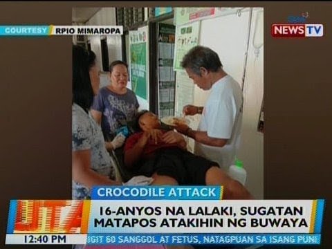 Anyos Na Lalaki Sugatan Matapos Atakihin Ng Buwaya Sa Balabac