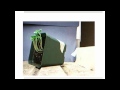 Plant Tropisms and Responses