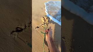 What’s on this rope?! 😮