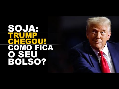 SOJA: TRUMP CHEGOU! COMO FICA O SEU BOLSO?