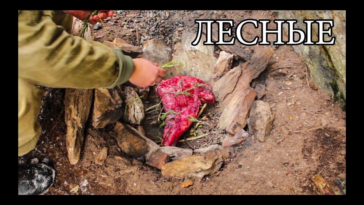 Дикая кухня - запеченное мясо в каменной яме bushcraft cooking in steam pit
