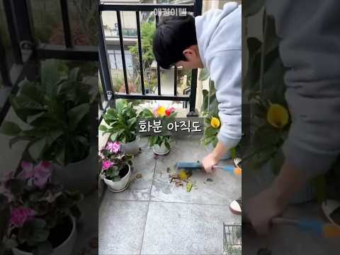화분 아직도 바닥에 두세요? #인테리어 #화분선반 #화분진열대 #베란다꾸미기 #베란다화분걸이 #베란다화초