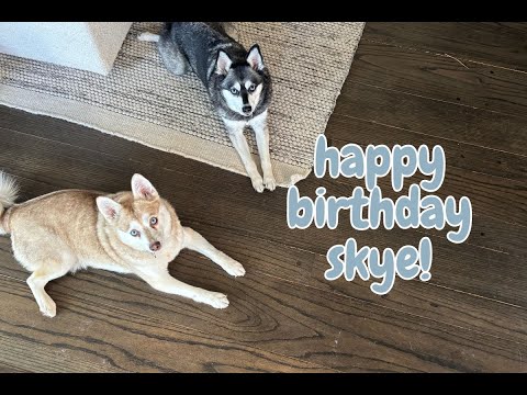 Happy Birthday Skye (and update!)