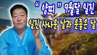 2025년 9둴달 양띠분들의 일진                                   #소원신사 #포항점집 #무당 #무속 #울산점집 #대구점집 #부산점집 #사주 #운세