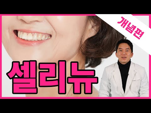 얼굴 업그레이드가 필요하다면 /시술위키 셀리뉴 개념편