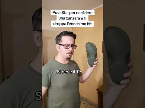 Le zanzare stanno prendendo il sopravvento? #youtubechamps #zanzara #humor #canzonitravisate #ironia