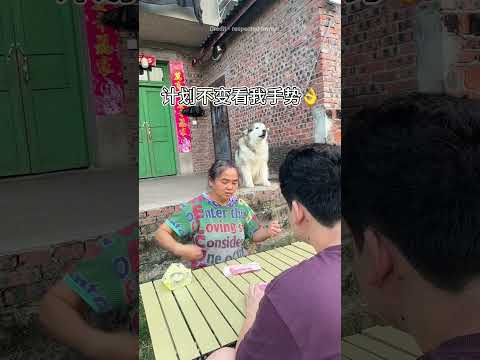 this cute Dog Double Paw Move makes dadi reaction