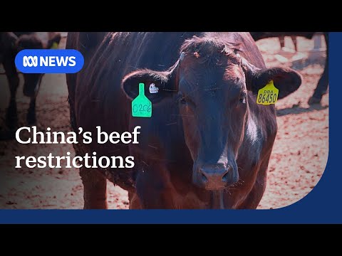 YouTube video thumbnail: China's Beef Import Restrictions Set to Affect Australia's Industry