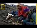 Marine Reptiles and Fossil Discoveries