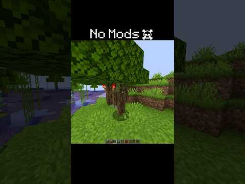 No Mods☠️ #minecraft #lagva #bug