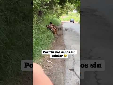 La mejor infancia #viralvideo #viral #humor