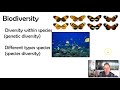 Ecosystem Dynamics and Biodiversity Concepts