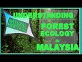 Forests and Biodiversity in Malaysia