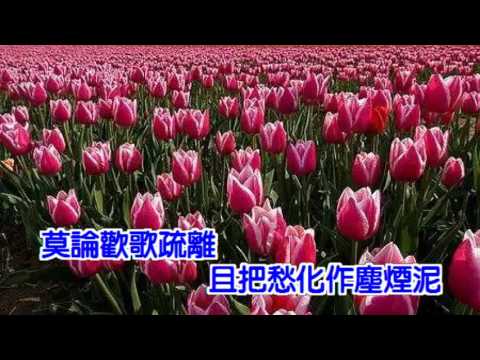 我的視訊問愁-karaoke