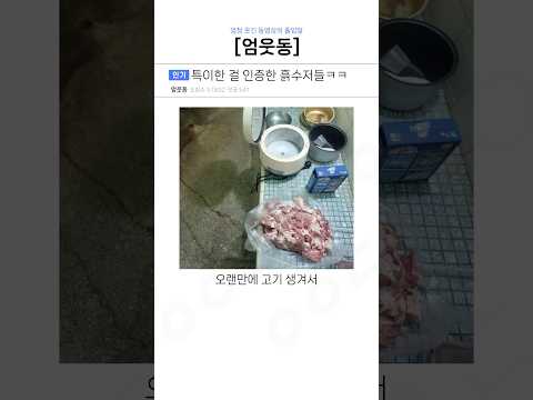 특이한 걸 인증한 흙수저들ㅋㅋ