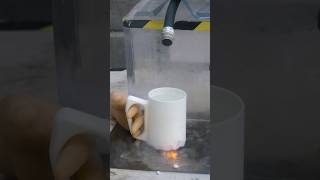 The World‘s Most Dangerous Greedy Cup