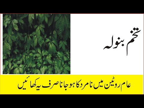 tips by hakeem nasir