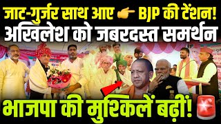Akhilesh Yadav को जबरदस्त समर्थन 🔥 जाट-गुर्जर एकजुट! | BJP में बढ़ी बेचैनी? #akhileshyadav