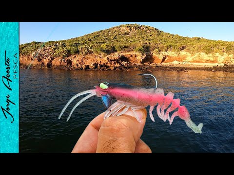 Pescando COCONACOS con CAMARON Artificial