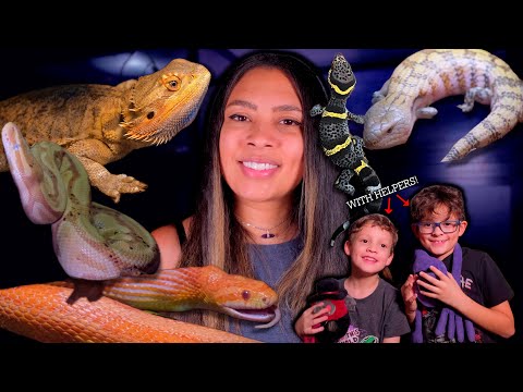 Reptile Room Tour 2024!!!! (With a Couple of Helpers)