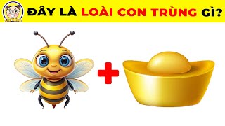 17+3 Câu Đố Đuổi Hình Bắt Chữ Đoán Tên Các Loài Côn Trùng Siêu Khó| Chị Kính Đố Vui #câu_đố