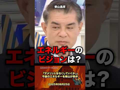 「エネルギー課題」今後のビジョンを柴山が熱弁する #政治 #政治家 #自民党 #ソーラーパネル #太陽光発電