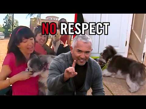 When a Dog Turns on Her Human