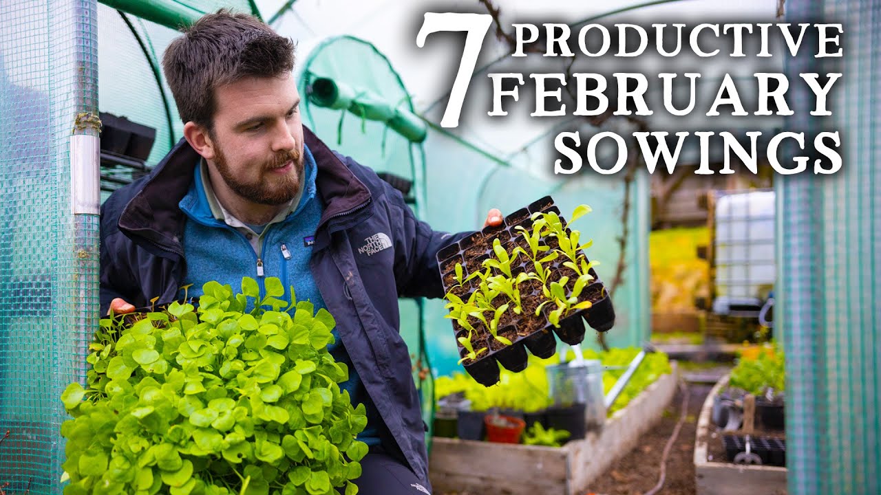 7 Most Productive Edible Crops to Sow in February