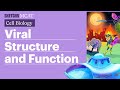 RNA Viruses and Bacteriophages Concepts