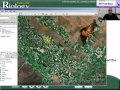 Environmental Impact and Human Activities