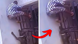 Dogs KARMA with Thieves!!