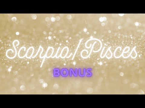 Scorpio/Pisces BONUS🤍Trust Your Intution-It's Spot On!🤍Energy Check-In